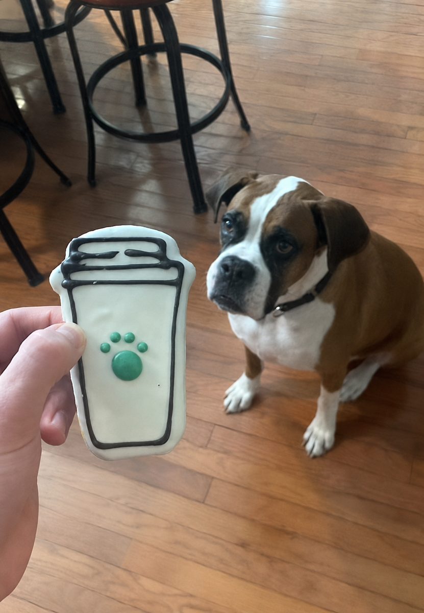 Bailey eyeing a paw print cookie